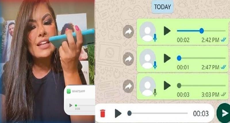Vaza último áudio de Paulinha Abelha com vida e o que ela diz é muito triste de ouvir