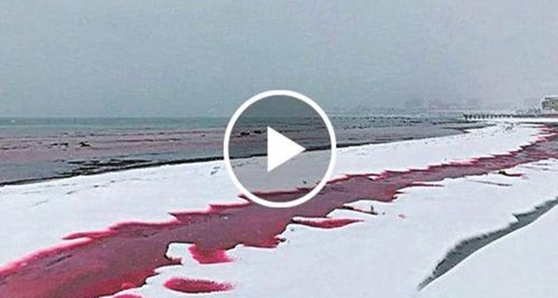 Fim dos tempos? Mar se transforma em ‘sangue’ na Ásia e deixa pessoas com medo