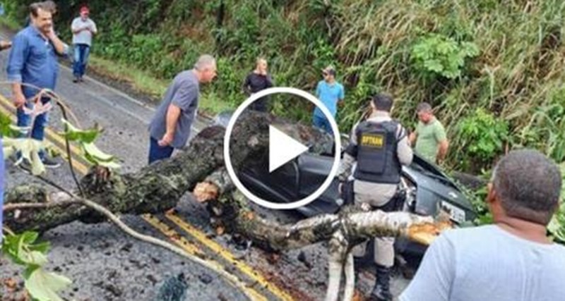 Tragédia: Morre querido APRESENTADOR após árvore cair em cima de sua cabeça, a dor é grande, descanse em paz, veja o vídeo
