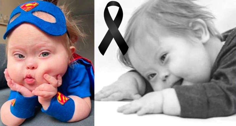 Descanse em paz Chico: Infelizmente acabamos de perder nosso pequeno e querido influenciador, vítima de… Ver mais