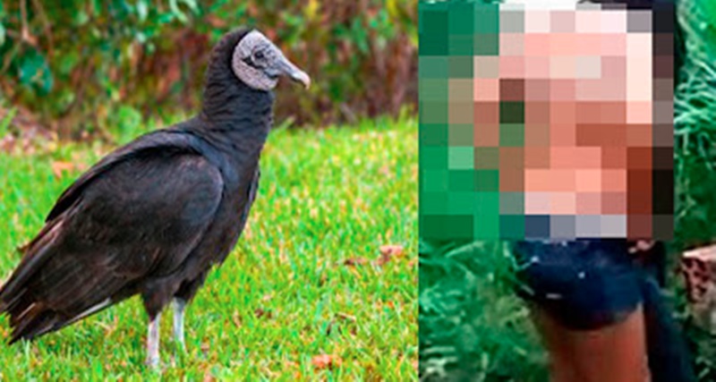 Mulher com mal cheiro nas partes é atacada por urubus