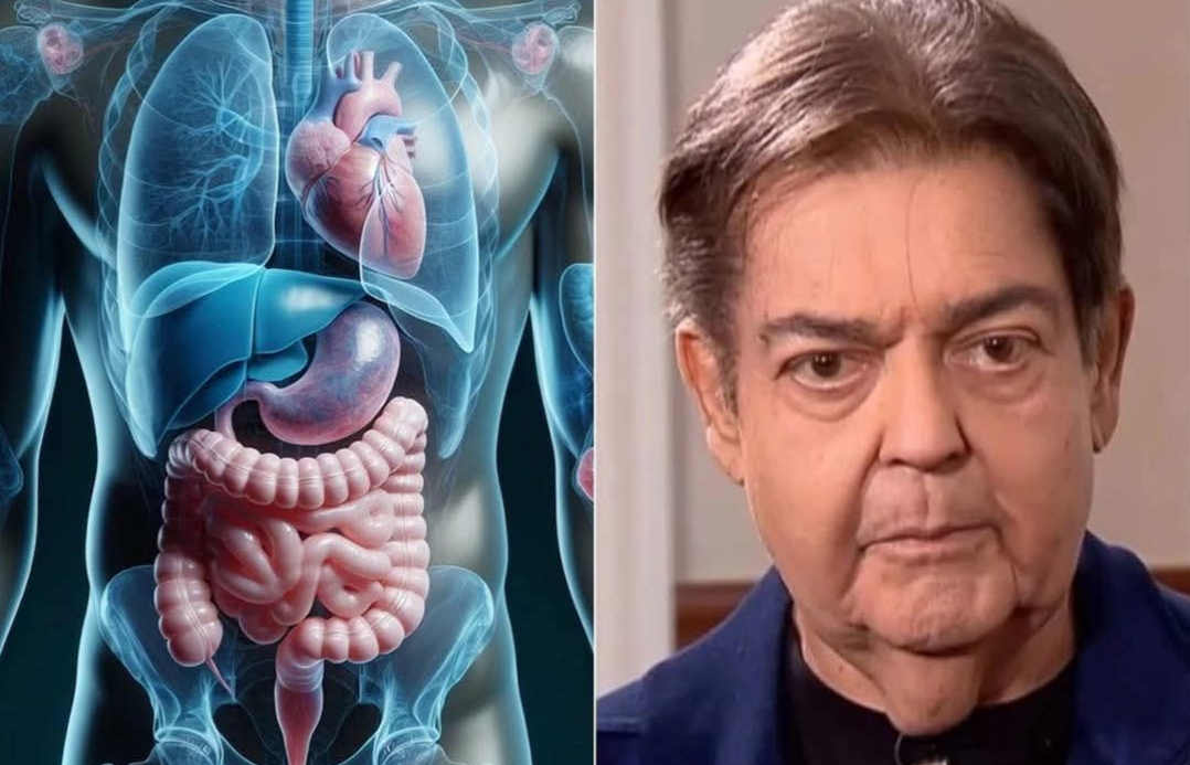 Chega notícia de Faustão direto do hospital ele acaba de …Ver mais