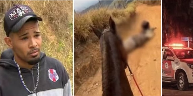 Homem que cortou as ƿɑŧɑs do cɑvɑIɒ pede perdão após sofrer uma p…Ver mais